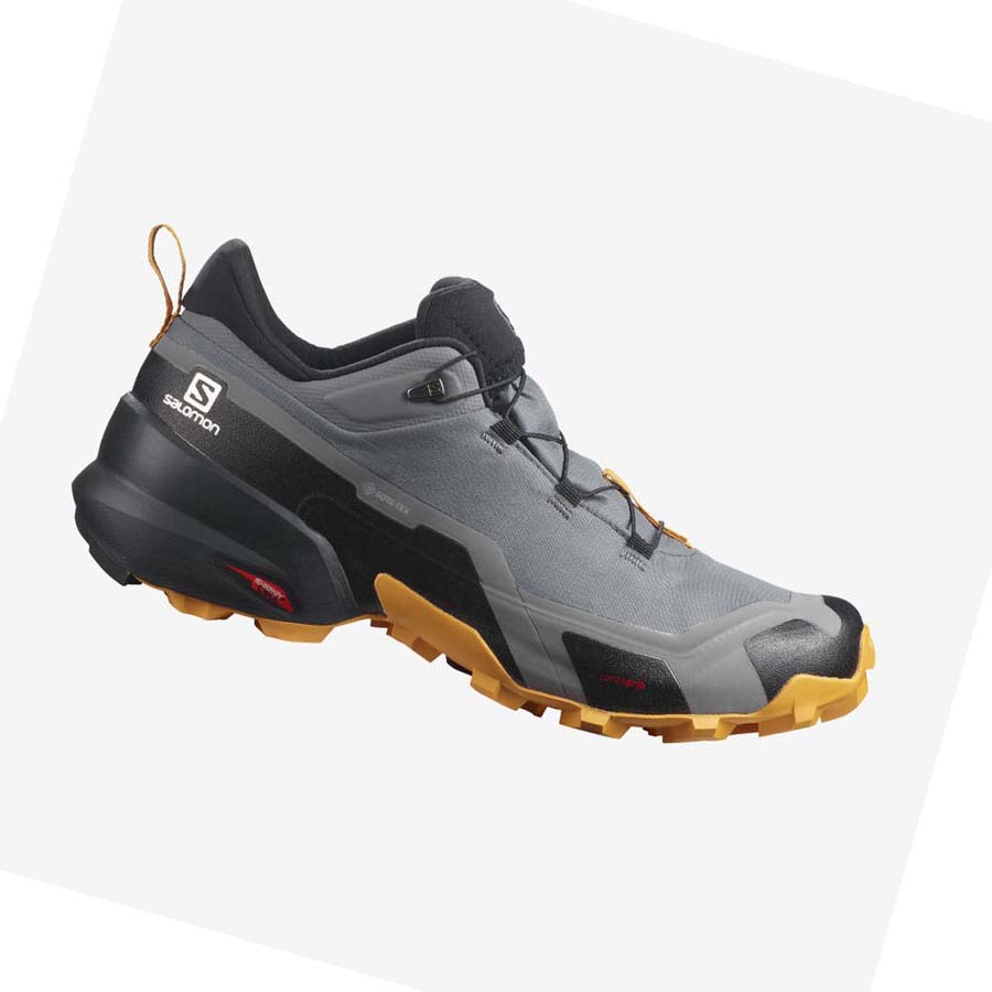 Tenis Senderismo Salomon CROSS HIKE GORE-TEX Hombre Grises | MX 3608KOR